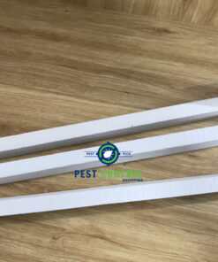 Bóng bắt côn trùng