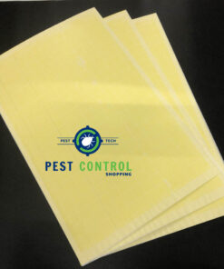 Tấm keo bẫy côn trùng