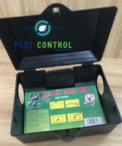 Đặt keo bẫy chuột