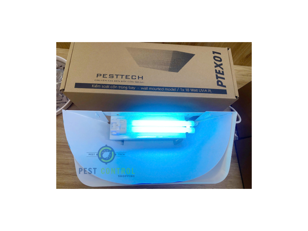 PTEX 01 2